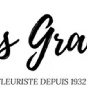 Grauffel-logo